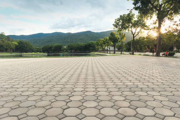 Best Concrete Paver Driveway  in Bernie, MO